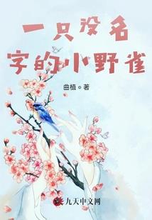 这就是仙