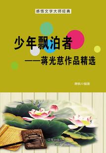 虚空魔戒