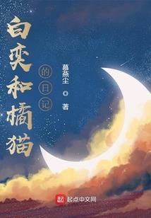 红楼梦手抄篡改本