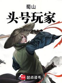 鲁鲁修之骑士
